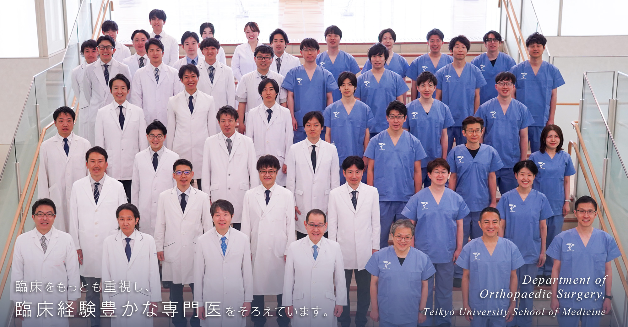 臨床をもっとも重視し、臨床経験豊かな専門医をそろえています。Department of Orthopaedic Surgery Teikyo University School of Medicine