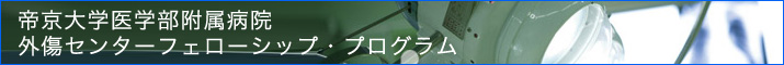 フェローシップ・プログラム実施要綱