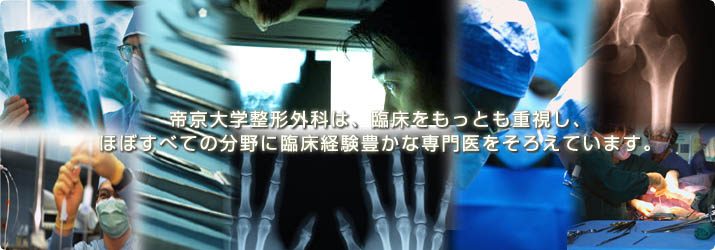帝京大学整形外科は、臨床をもっとも重視し、ほぼすべての分野に臨床経験豊かな専門医をそろえています。